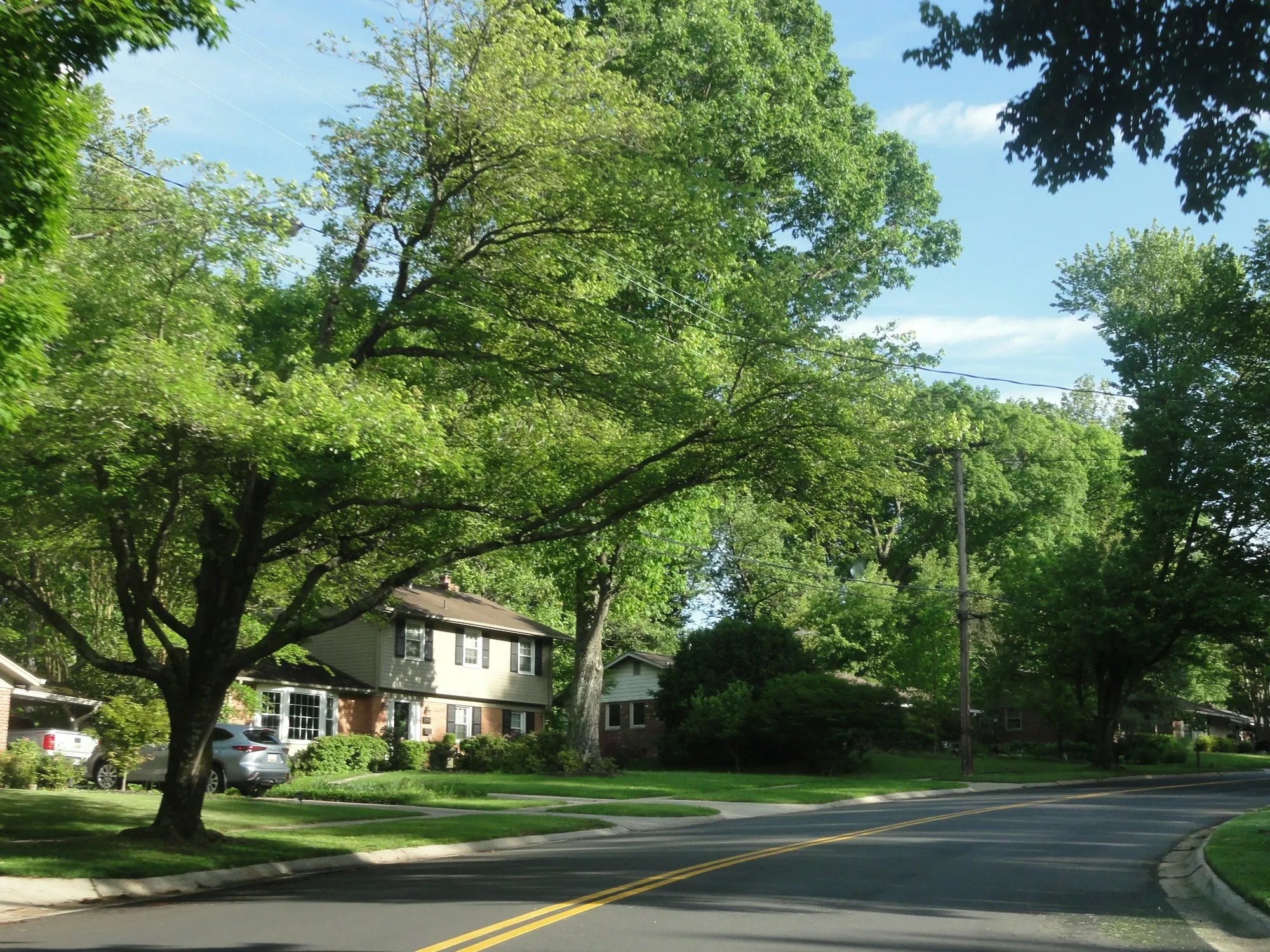 Lake shoreline with houses among trees